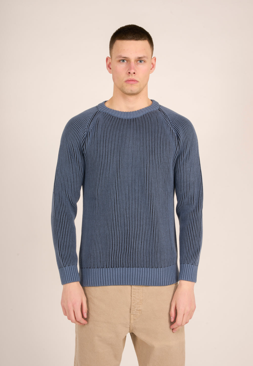 Two Toned Rib Raglan Crew neck knit